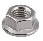 Sperrzahnmutter für Hammerkopfschraube M 10, DIN 6923, Edelstahl