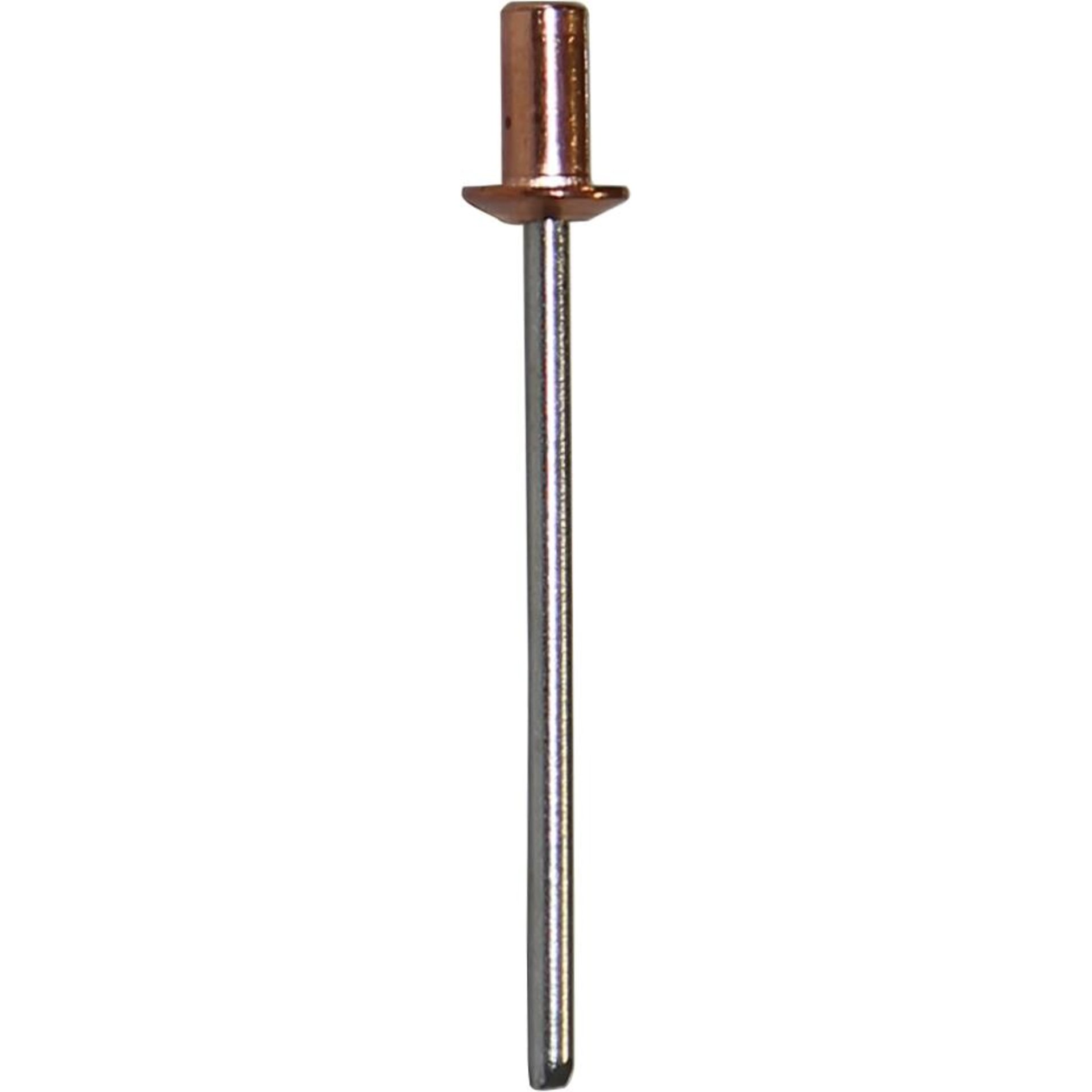 Dichtblindnieten Kupfer/A2 3,2 x 12