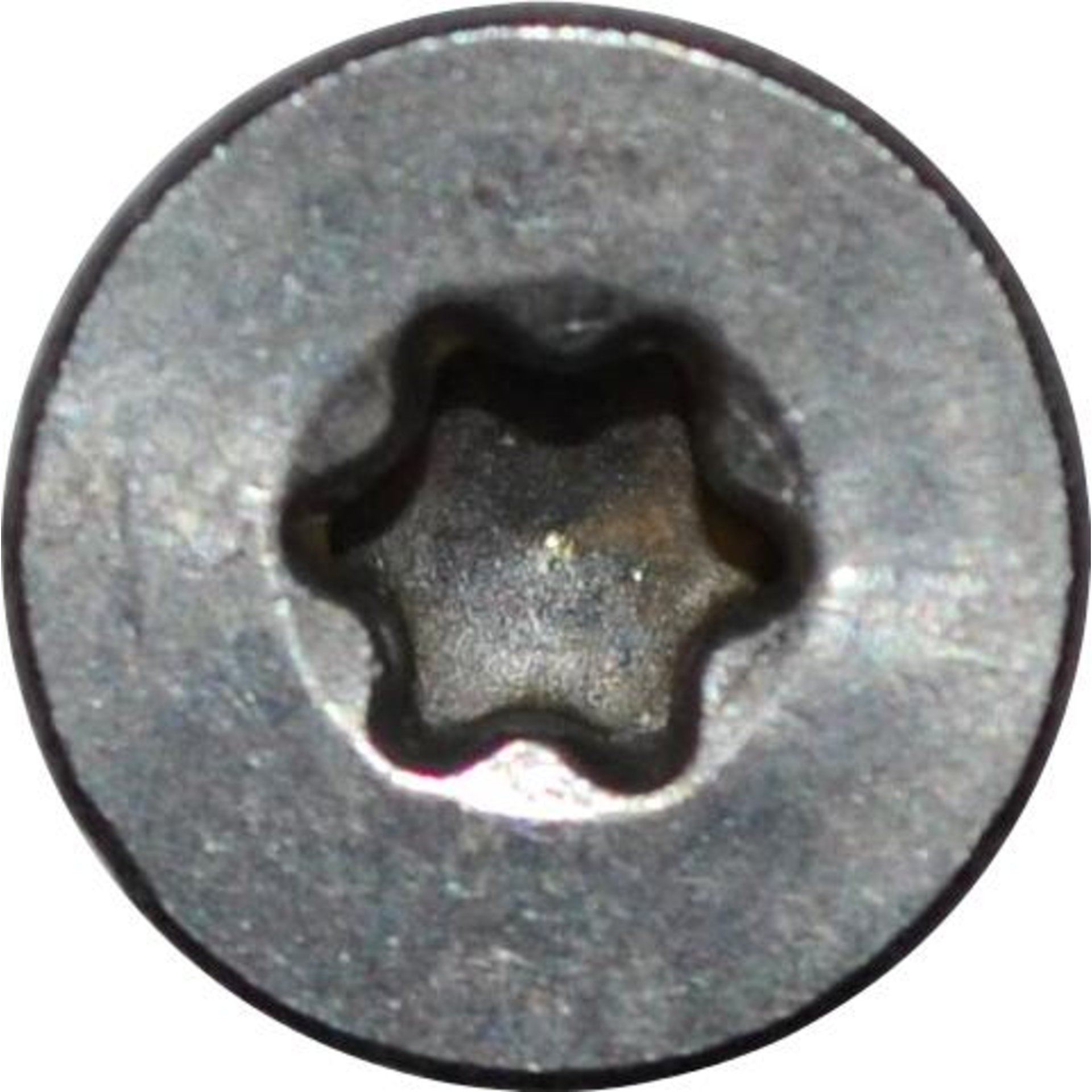 Spanplattenschrauben V2A 3,0 x 12 Seko VG TX10