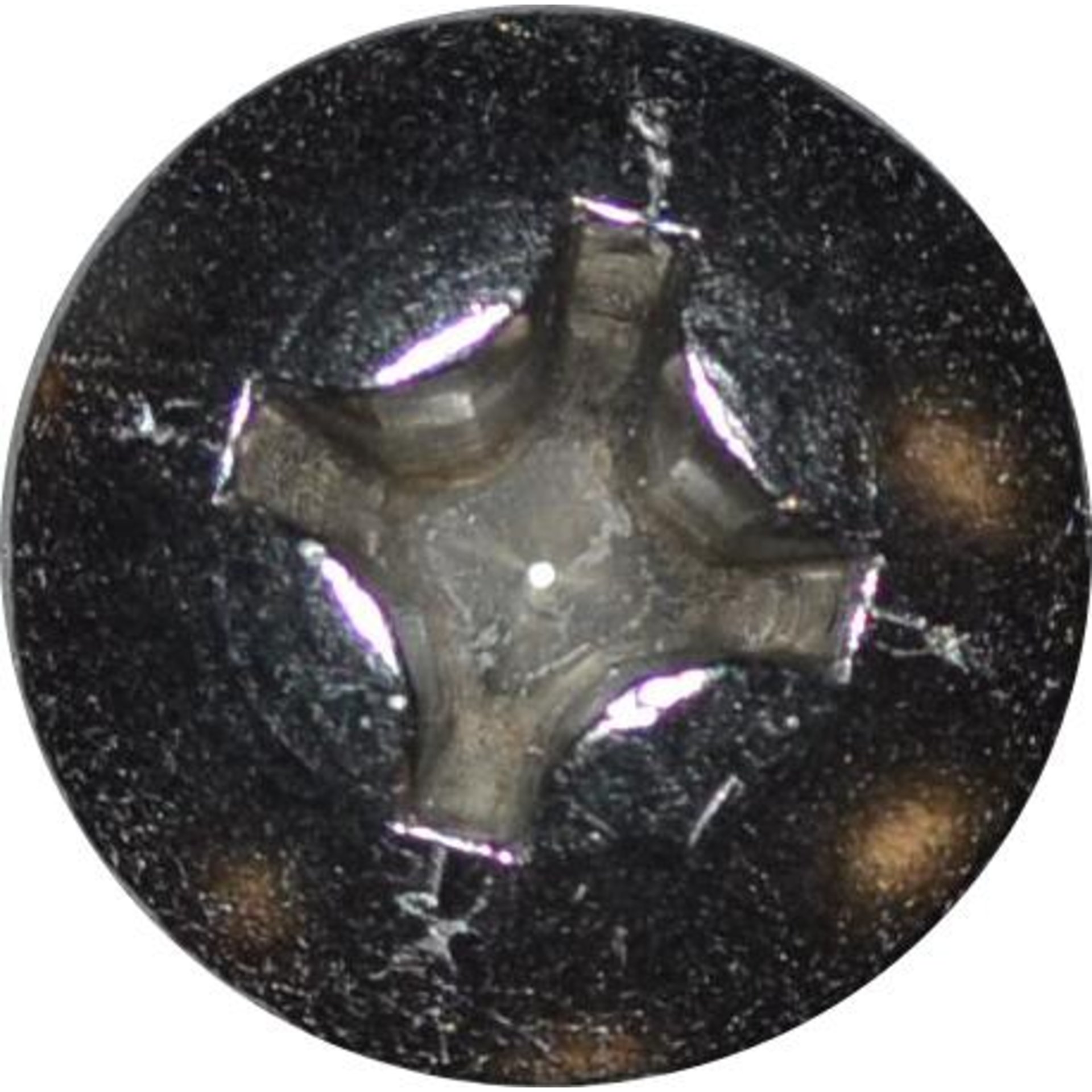 DIN 7981 zi. Blechschraube 2,9 x 16 Ruko