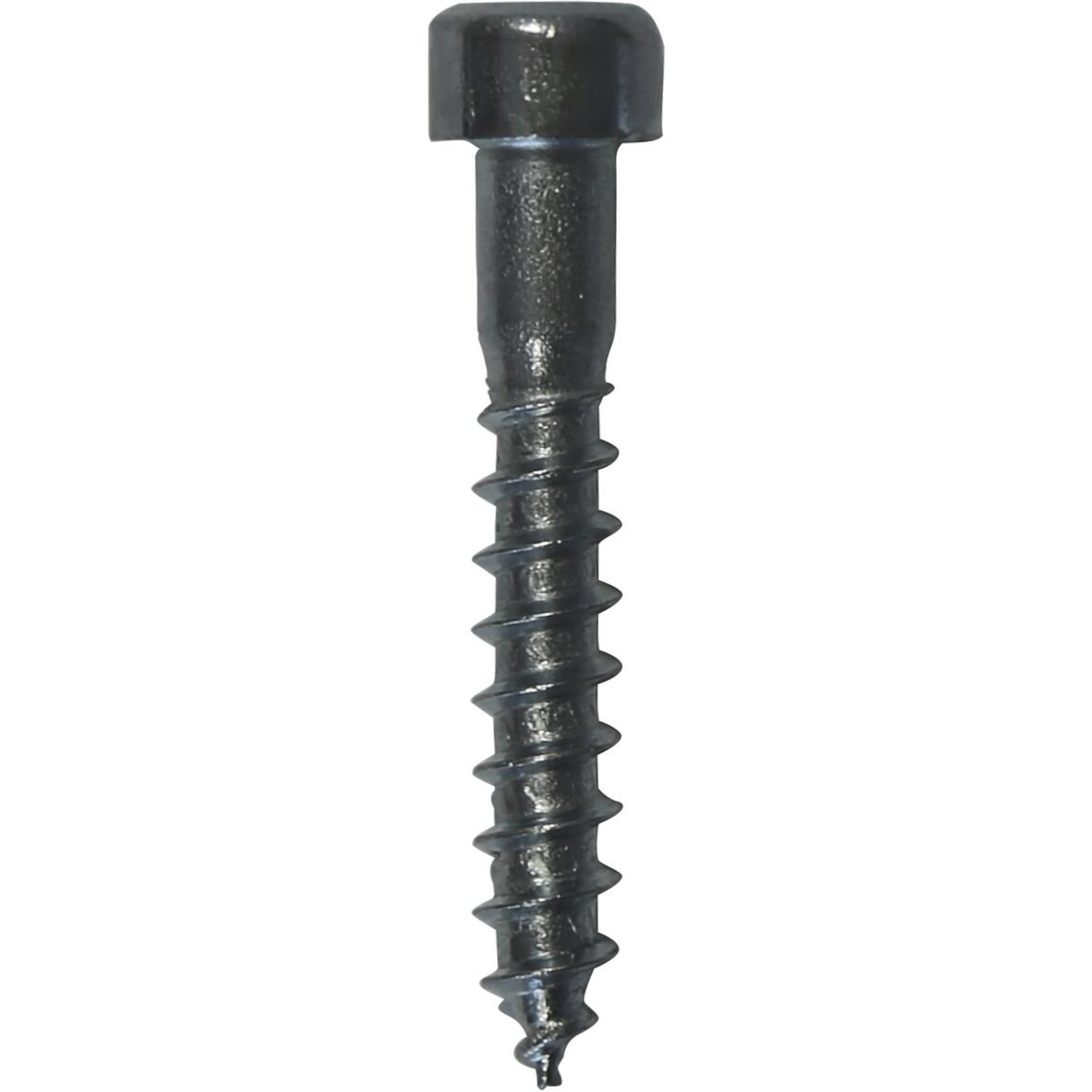 Innensechskantschraube mit Holzgewinde 6 x 40